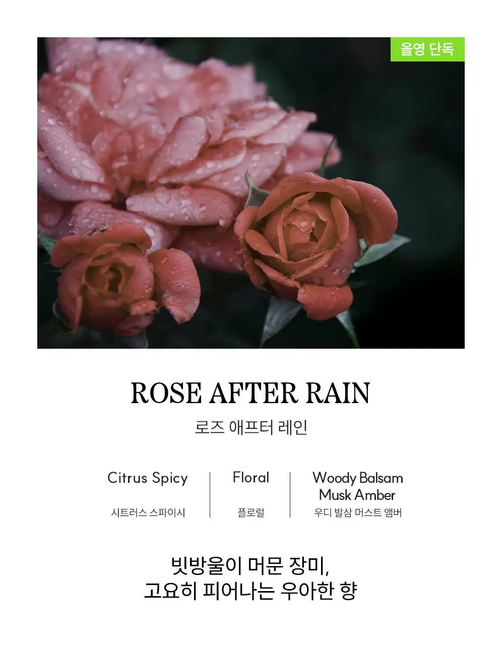 [1위/우디향 디퓨저] 코칸 오브제 디퓨저 170ml /샤쉐 42g 11종 택 1 상세페이지 72